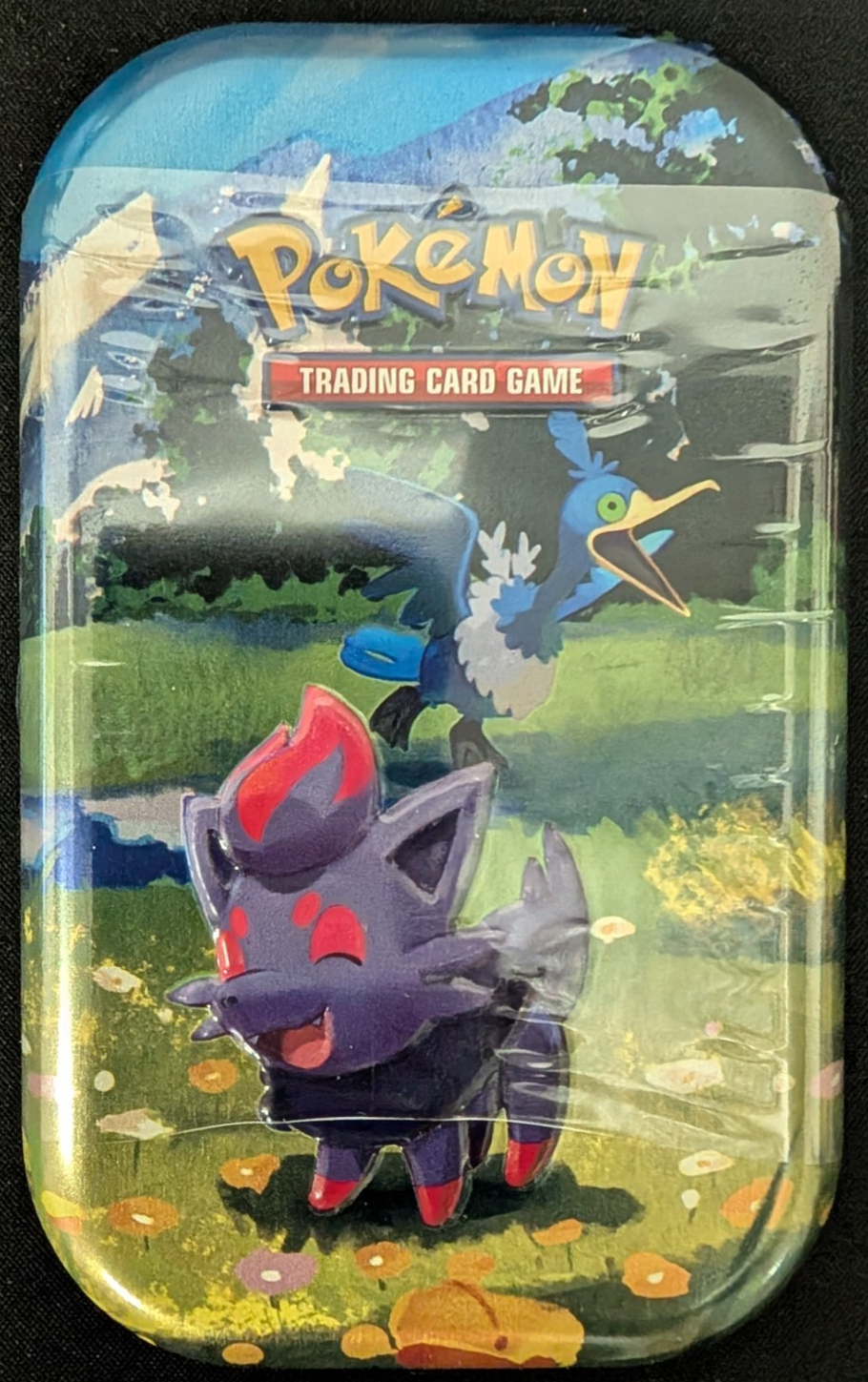 Mega Evolution Ascended Heroes Mini Tin Zorua & Cramorant Pokemon TCG NEW SEALED