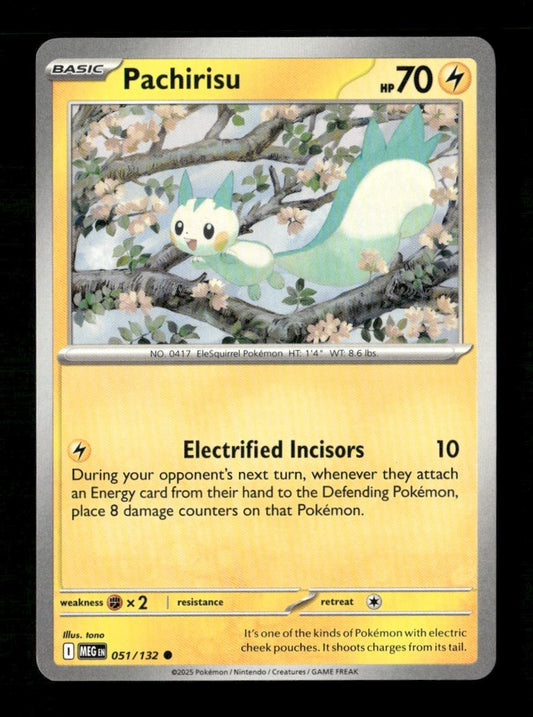 Pachirisu #051/132 Normal Pokemon Mega Evolution