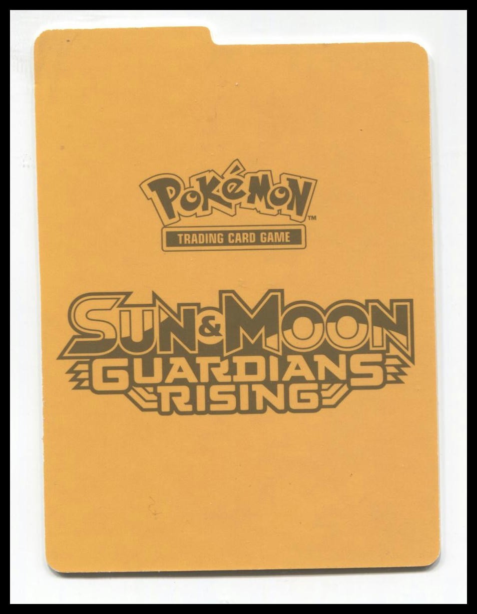 Pokemon TCG Guardians Rising Elite Trainer Box Card Divider